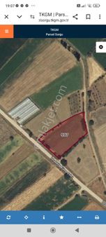 Mükemmel Konumda Sulak Tarla