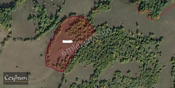 Tokat Reşadiye Kızılcaören'de Tek Tapulu 2270m2 Satılık Arazi