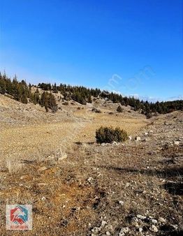 Bolkar'dan 12.930 M² Satılık Arazi