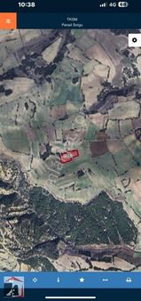 Ayçiçekler Eml Tarla