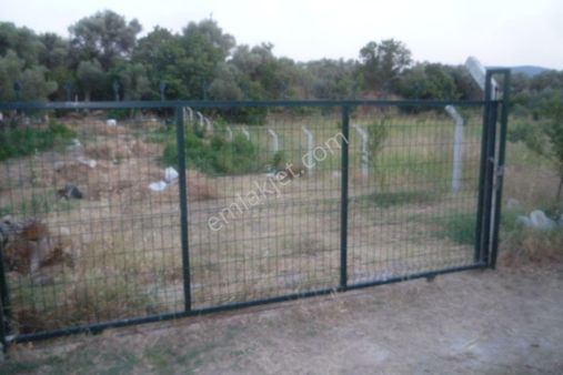 İzmir Torbalı Gold Emlaktan Dirmilde Satılık Bahçe