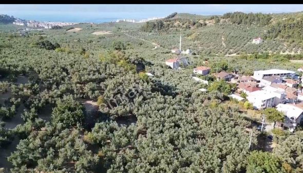 Mudanya Aydınpınar'da İmarlı Arsa