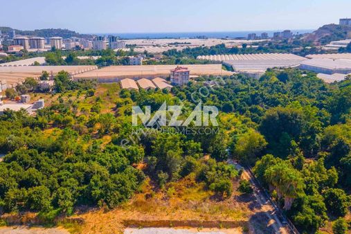 Alanya Demirtaş'da 606 M² Satılık Konut İmarlı Arsa