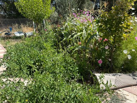 Gökçekısıkta Suyun Kenarında Satılık Eşyalı Evi Olan Hobi Bahçesi