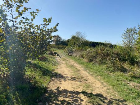 Şile Ağva Geredeli Satılık Arsa-yolu Açık-6690m2