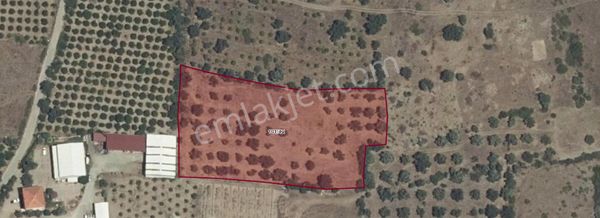 Rota Köyceğiz Gayrimenkul'den Satılık Rızai Taksimi Yapılmış Arsa