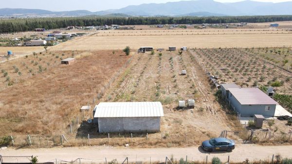 Menderes Develi'de Satılık 2.536 M2 Bahçe Elektrik Su 50 M2 Ev