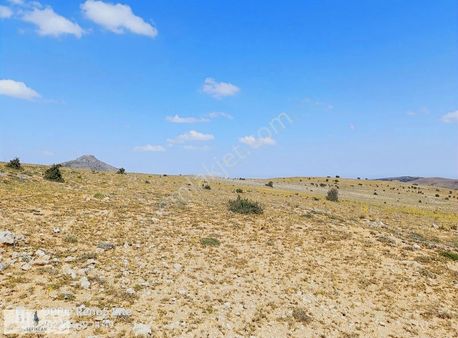 Sarayköy Belenbaşında Satılık 988m Yatırımlık Parsel