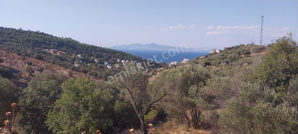 Rose Emlak 'tan Satılık Müstakil Villa Arsası