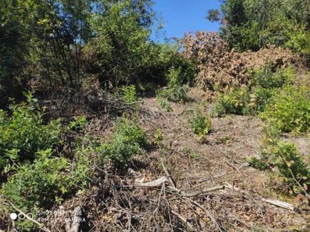 Kaynarca Sabırlı'da 1722 M² Tarla