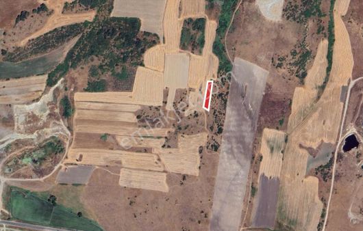 Era Söz Den Manyas - Yeniköy Mahallesinde Satılık Tarla Hissesi.