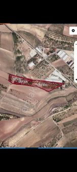 Malatya Akçadag 'da Satlık Kaysı Bahçesi