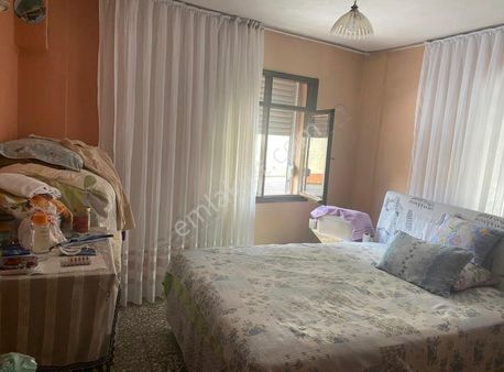 257 M2 Mevlana Camisine Yakın 5+1 1 Dükkan Satılık Müstakil