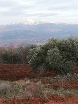 Karacasuda Satilik Arazi