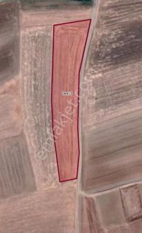 Kırklareli,lüleburgaz,karamusul Köyünde, Satılık 7.102 M2 Tarla