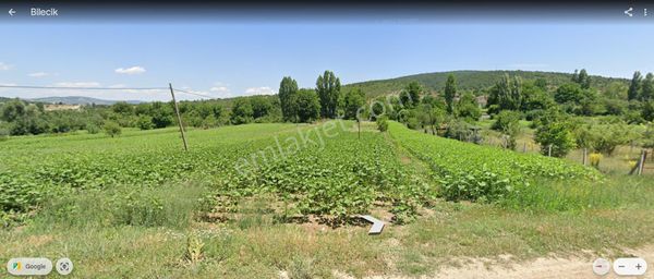 Bozüyük Saraycık Köy İçi Satılık 872 M2 Hobi Bahçesi Tarla