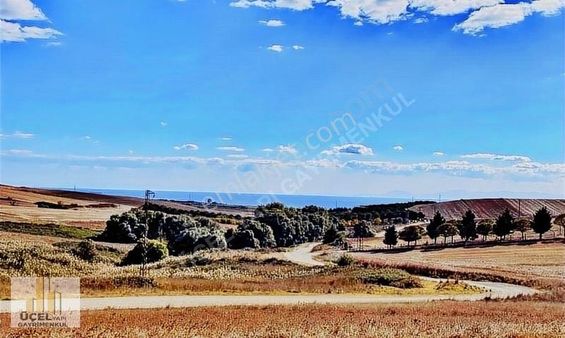 Marmaraereğli Çeşmeli'de Deniz Manzaralı 605 M2 Yola Cephe Tarla