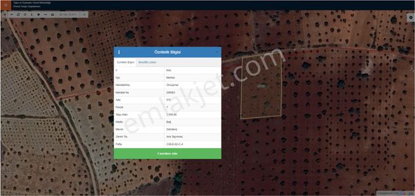 Hadi Gayrimenkul Ve Haritadan Şıh Muhammet Arkası Satılık Zeytinlik