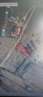 Sinop Dibekli Tepe Mahallesinde Atalay Emlak Tan İmarlı Satılık Arsa