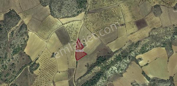 Muhammed Saltan'dan Yola Cephe Bilecik Deresakarı Köyü 3 Dönüm