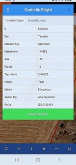 Odak'tan Tavşanlı Şahmelek'te Satılık Tarla