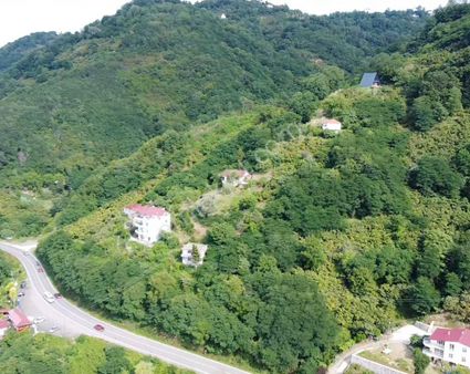 Perşembe Ramazan Mahallesi İmarlı Satılık Arsa