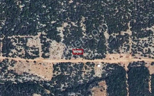 Didim Ak Yeniköy'de Satılık Arsa