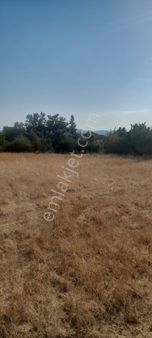 Muğla Köyceğiz Toparlar Mh 930m2 İmarlı Arsa