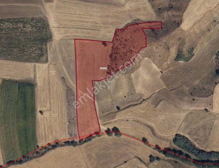 Dinar Çayüstü Köyü Yakını Yatırımlık Tek Tapu Arazi