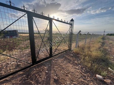 Akçadağda Satılık Kayısı Bahçesi