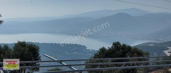 Mordoğan Emlaktan Panoramik Deniz Manzaralı 5018m2 Satılık Tarla
