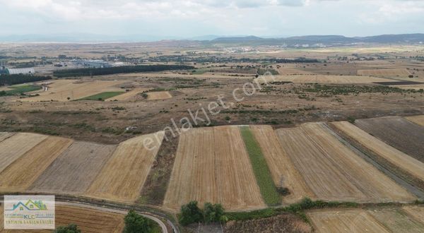 Klc'den Balıkesir Altıeylül Büyükbostancıda Satılık Tarla