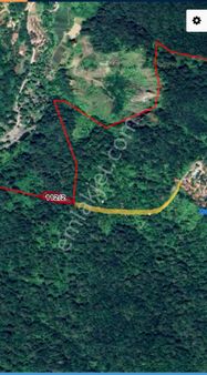 Sapanca Yanıkta Göl Manzaralı 2400 M2 Satılık Bahçe