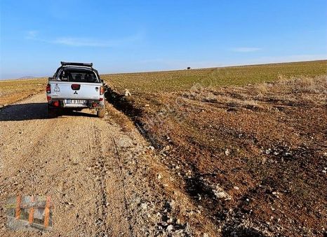 Başkan Emlaktan Satılık Seyitgazi İkiçeşme'de 13.610 M2 Tarla