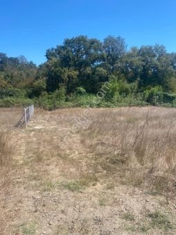 Acil Satılık 435-435 2 Adet Parsel