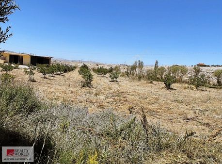 Antalya Korkuteli Nebiler De 8000 M2 Bahçe Ve Çiftlik Arsası