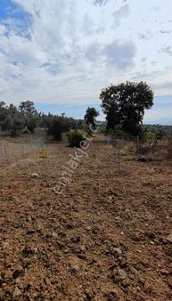 Sakarya Mahallesinde Bursa Manzaralı Hobi Bahçe