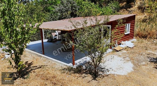 Yönter Emlaktan Değirmendere Mevkiinde 562m² Ev Ve Cevizlik