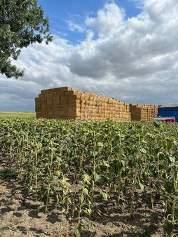 Yılmaz Emlaktan Delibedir Köyünde Satılık Çiftlik Evi