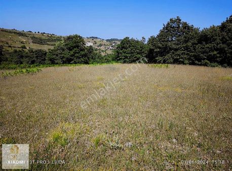 Kocaeli Kandıra Çakmaklarda 3778 M2 Satılık Tarla