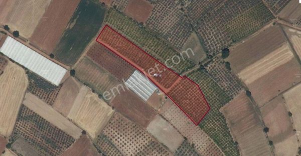 Goldhouse Gayrimenkul Den Satılık Tarla