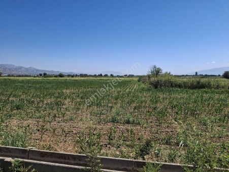 Aydın-sultanhısar-hisar Mevkinde Satılık 10 Dönüm Tarla