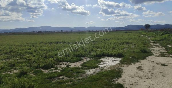 Kıyıkışlacık'a, Milas'a 17-18 Dk Fırsat Arazi