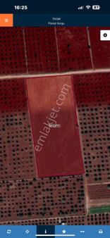 Özgüroğlu Emlak,tan Satılık Tarla