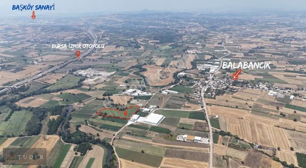 Tuder Gayrimenkulden Mudanya Balabancıkda Mükemmel Konumda Tarla