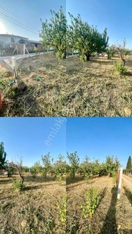 İzmir Kemalpaşa M.akif Ersoy Mahallesi'nde Satılık Tarla