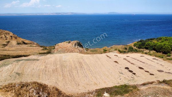 Lapseki Alpagut'ta 937 M2 1/24 Hisseli Full Deniz Manzaralı Tarla