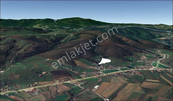 Serdivan Kazımpaşa Uzunköyde 11567 M2 Bungolow Yapılabilir Arazi