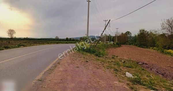 Söğütlü De Ana Yola 230 Metre Cepheli 6500 M2 Tarla