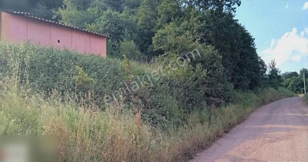 Söğütlü Yeniköyde Sanayi Caddesi 2000 M2 26m2 Yapı Kayıt Belge